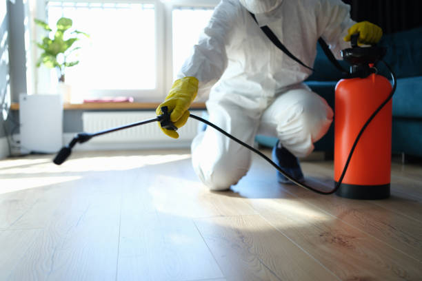 Reliable Infectious Disease Decontamination contractor in Commerce, TX by Trauma Clean Pros